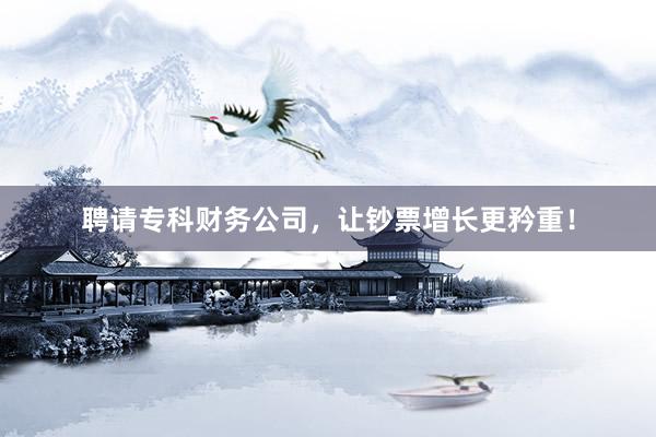 聘请专科财务公司，让钞票增长更矜重！